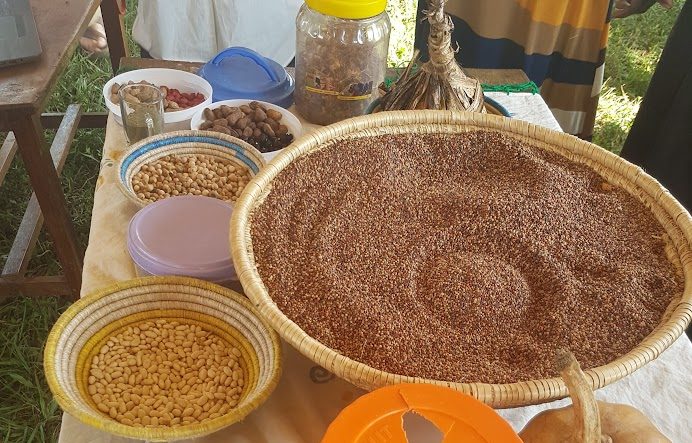 Food Sovereignity and Agro-Forestry