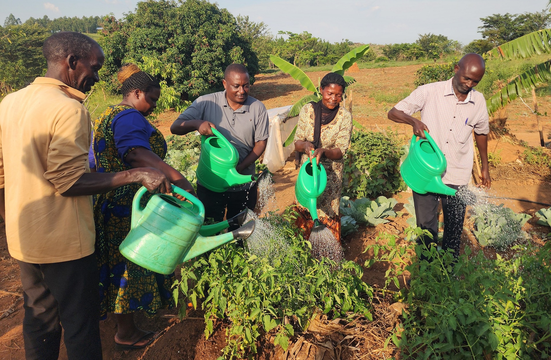 AIBIS members water plants at the Agroecology Demonstration Farm